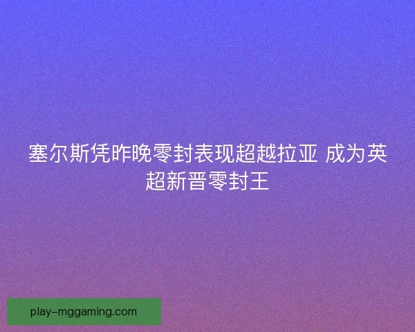 塞尔斯凭昨晚零封表现超越拉亚 成为英超新晋零封王 塞尔斯凭昨晚零封表现超越拉亚 成为英超新晋零封王