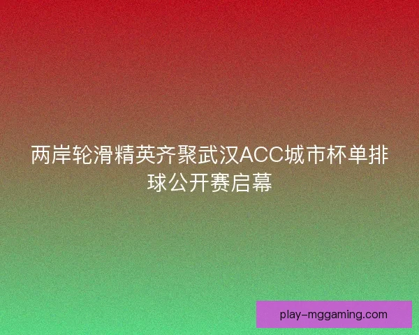 两岸轮滑精英齐聚武汉ACC城市杯单排球公开赛启幕
